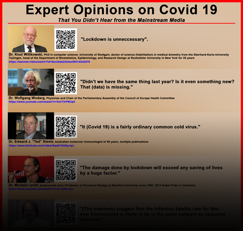 Experts Who Disagree with the Covid 19 Narrative - Poster