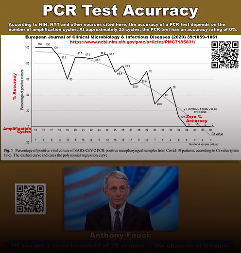 PCR Test Info Graphic