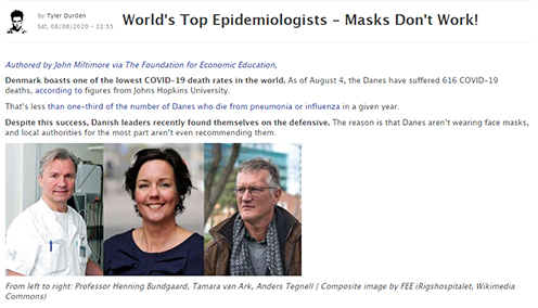 Top Epidemiologists Say Masks Don't Work